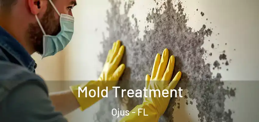 Mold Treatment Ojus - FL