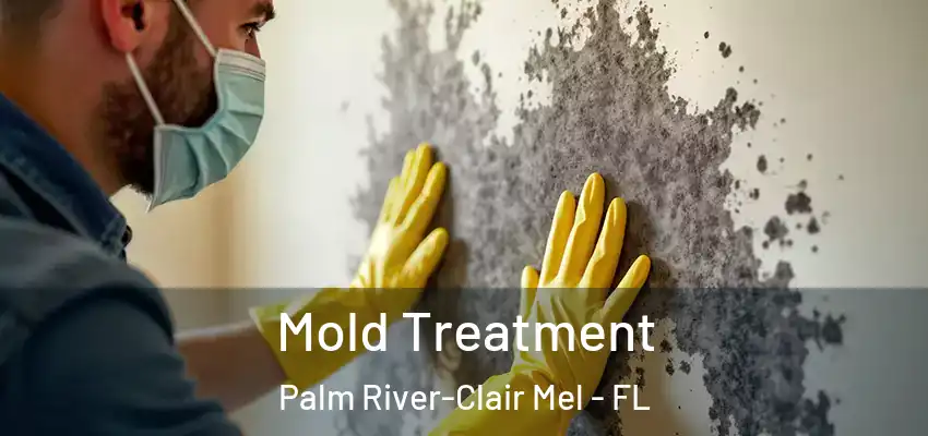  Mold Treatment Palm River-Clair Mel - FL