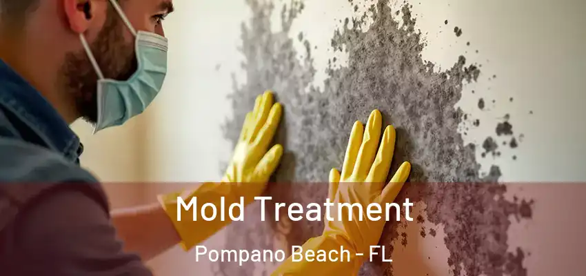  Mold Treatment Pompano Beach - FL