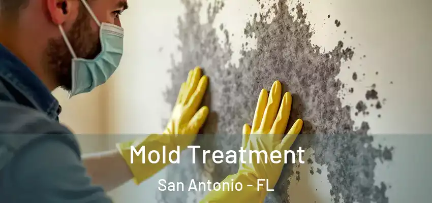  Mold Treatment San Antonio - FL