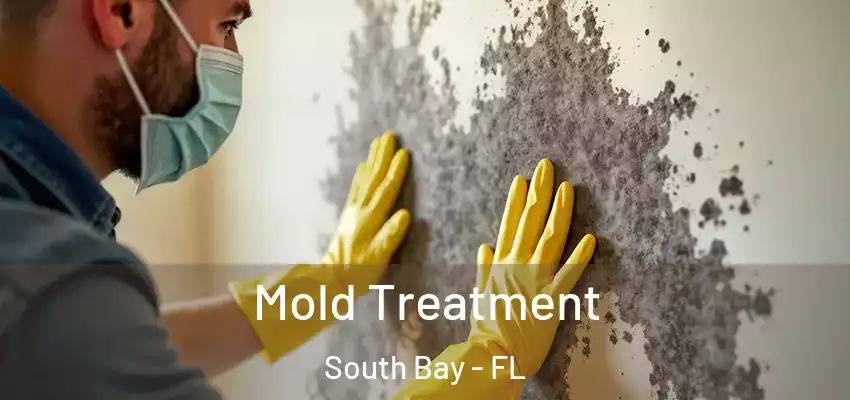  Mold Treatment South Bay - FL