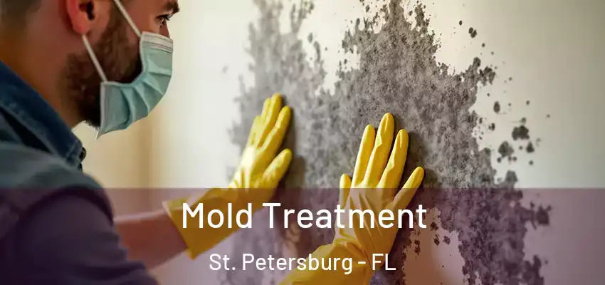  Mold Treatment St. Petersburg - FL