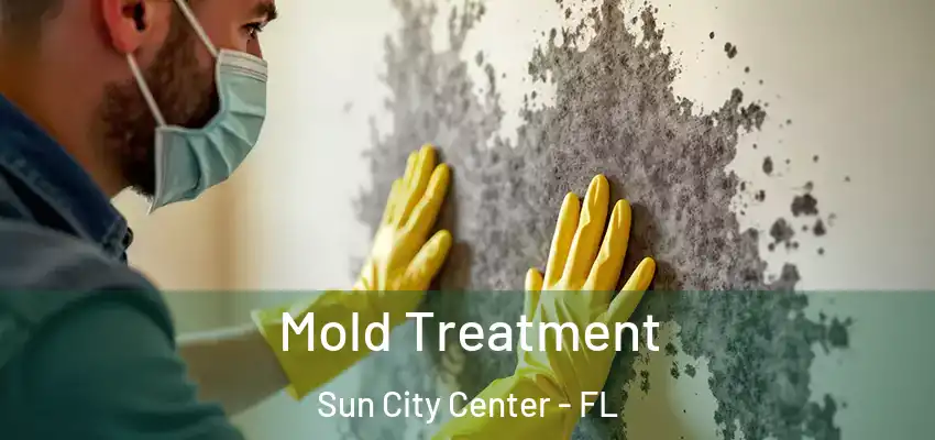 Mold Treatment Sun City Center - FL