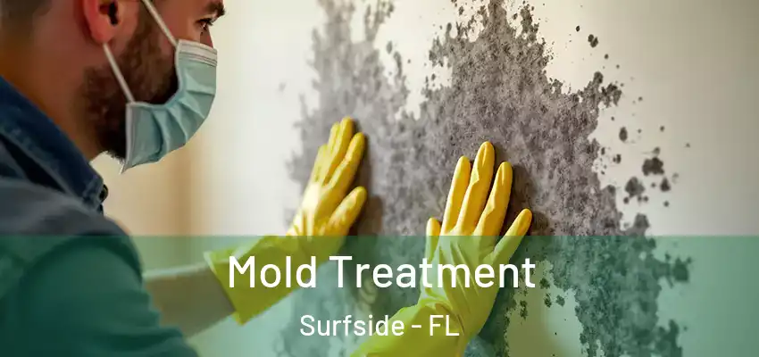 Mold Treatment Surfside - FL