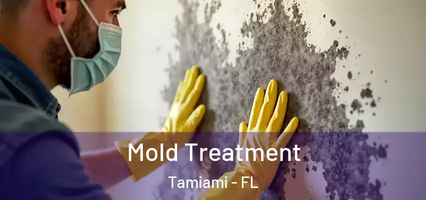 Mold Treatment Tamiami - FL