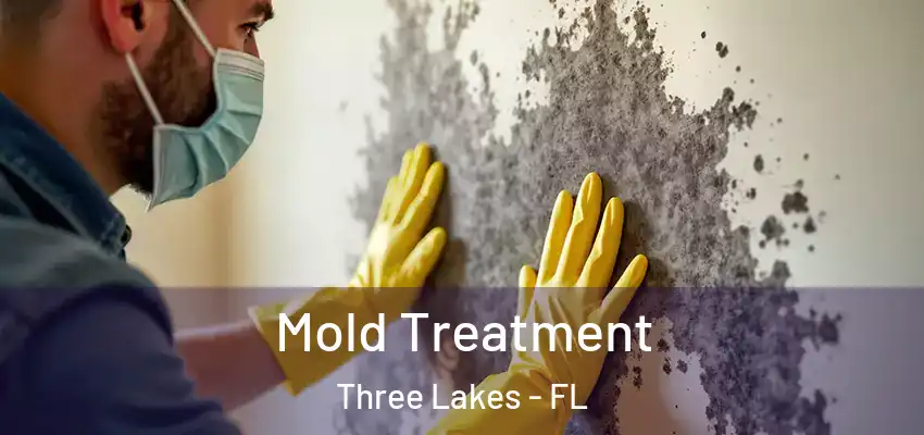 Mold Treatment Three Lakes - FL