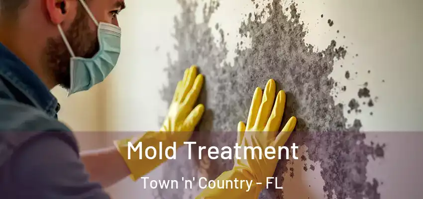 Mold Treatment Town 'n' Country - FL
