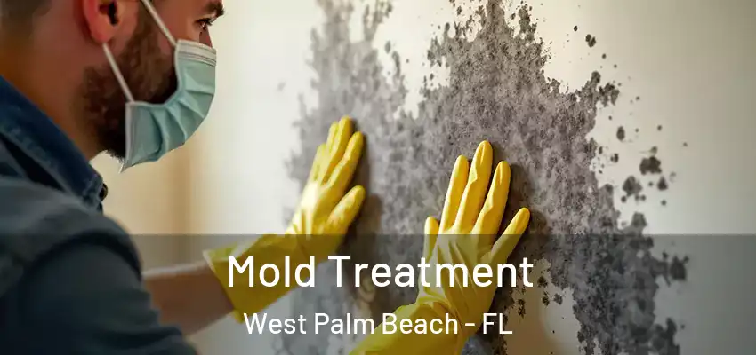  Mold Treatment West Palm Beach - FL