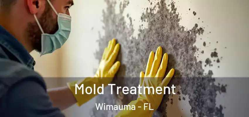  Mold Treatment Wimauma - FL
