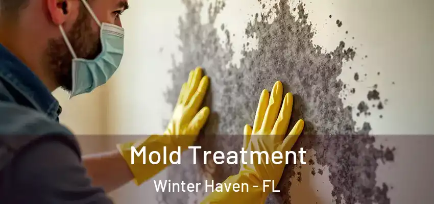 Mold Treatment Winter Haven - FL