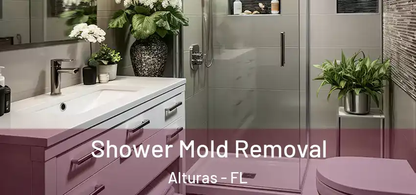 Shower Mold Removal Alturas - FL