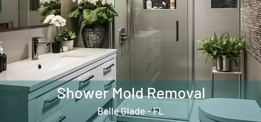 Shower Mold Removal Belle Glade - FL