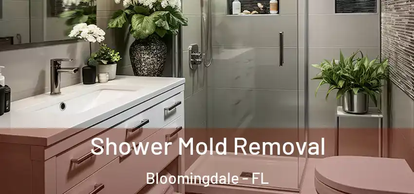 Shower Mold Removal Bloomingdale - FL