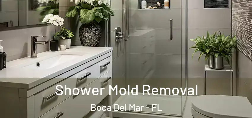 Shower Mold Removal Boca Del Mar - FL