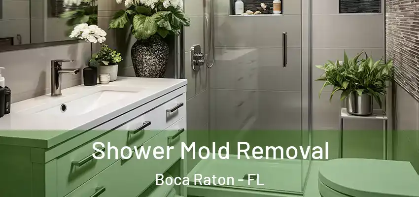  Shower Mold Removal Boca Raton - FL