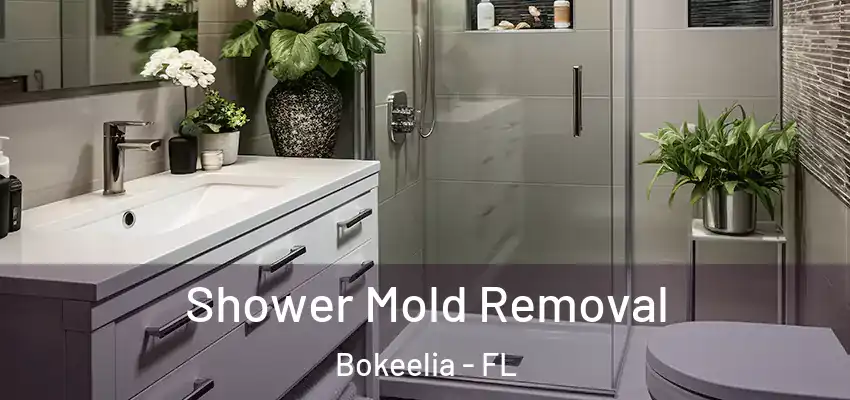 Shower Mold Removal Bokeelia - FL
