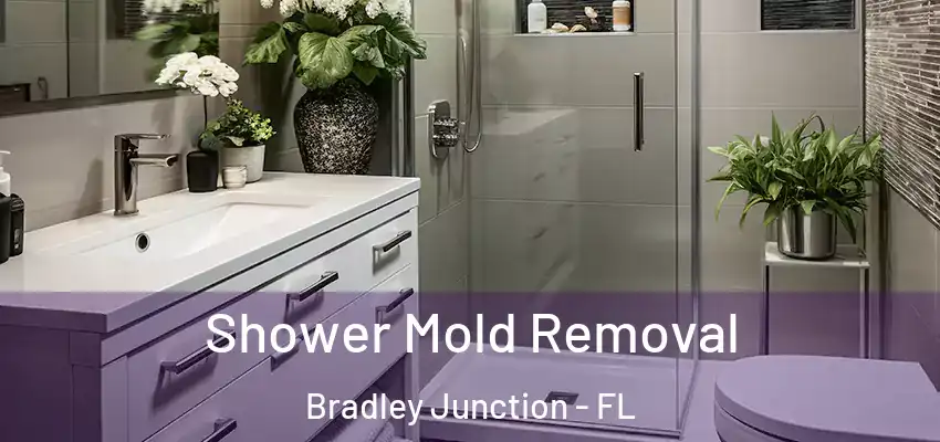 Shower Mold Removal Bradley Junction - FL