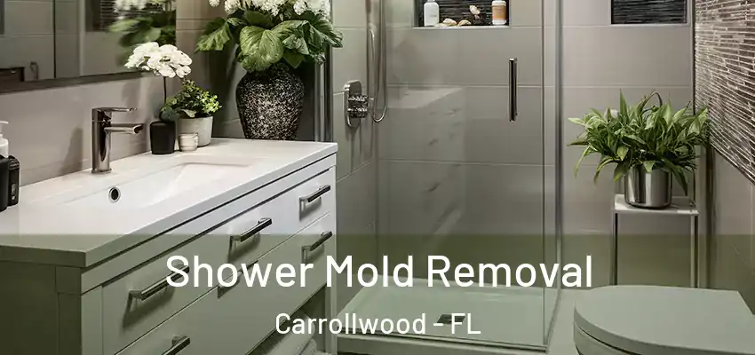 Shower Mold Removal Carrollwood - FL