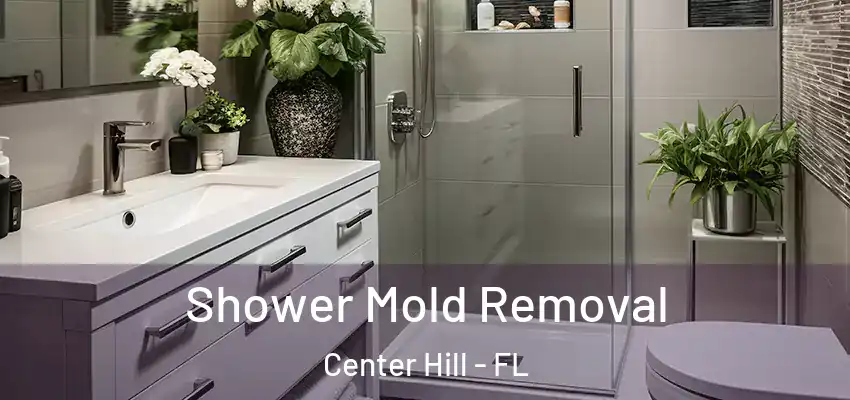  Shower Mold Removal Center Hill - FL