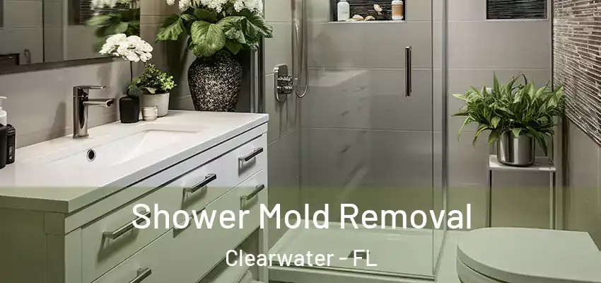  Shower Mold Removal Clearwater - FL