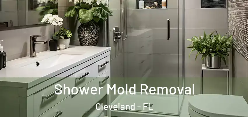 Shower Mold Removal Cleveland - FL
