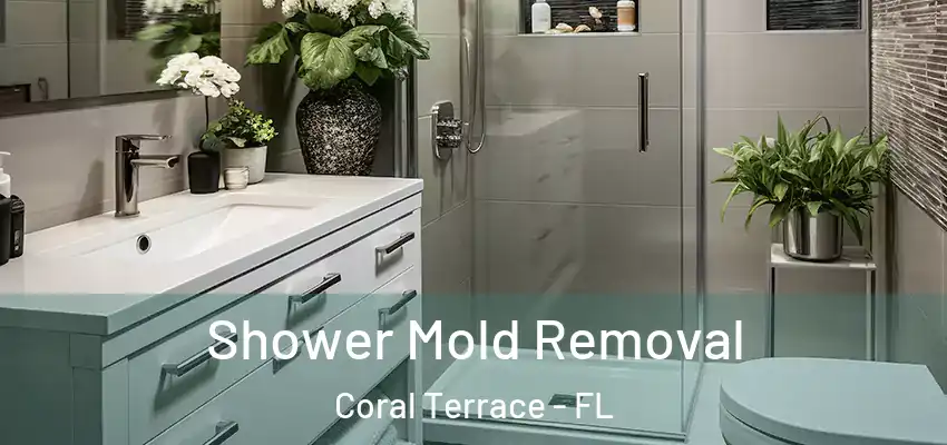 Shower Mold Removal Coral Terrace - FL