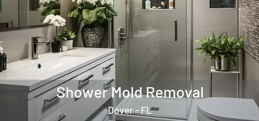  Shower Mold Removal Dover - FL