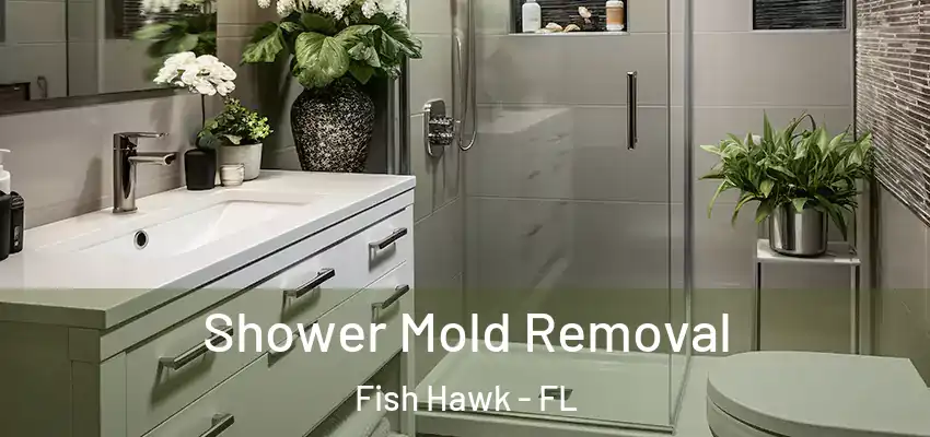  Shower Mold Removal Fish Hawk - FL