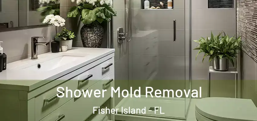 Shower Mold Removal Fisher Island - FL