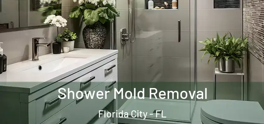  Shower Mold Removal Florida City - FL