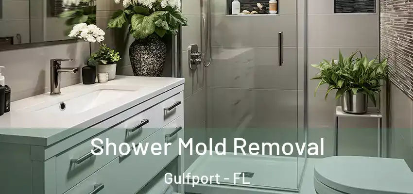  Shower Mold Removal Gulfport - FL