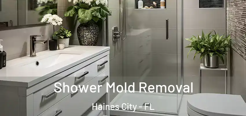 Shower Mold Removal Haines City - FL