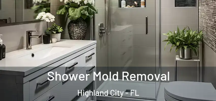 Shower Mold Removal Highland City - FL