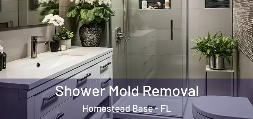 Shower Mold Removal Homestead Base - FL