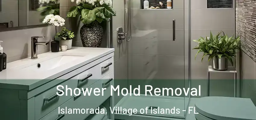 Shower Mold Removal Islamorada, Village of Islands - FL