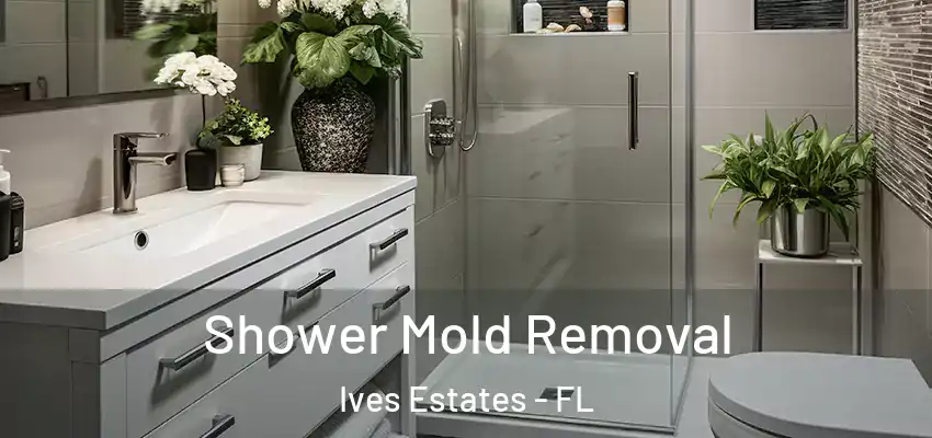 Shower Mold Removal Ives Estates - FL