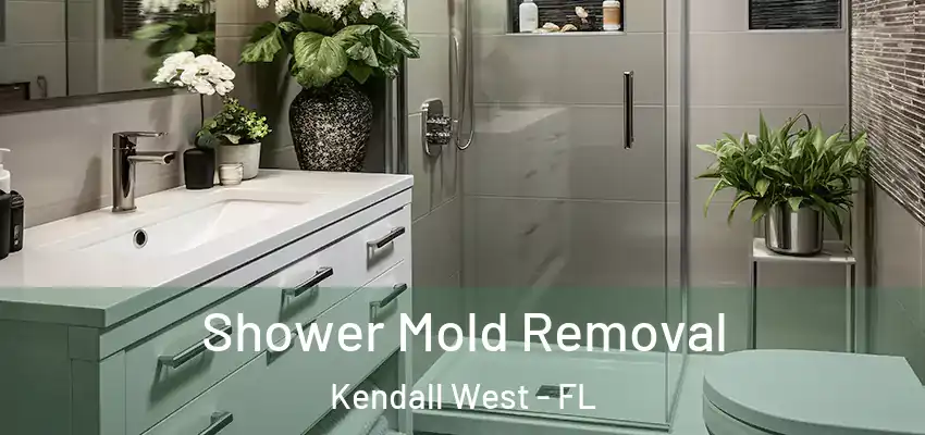  Shower Mold Removal Kendall West - FL