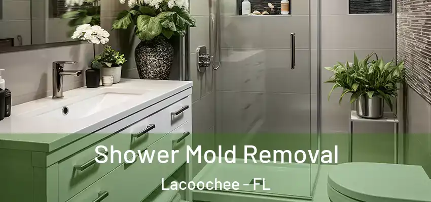 Shower Mold Removal Lacoochee - FL