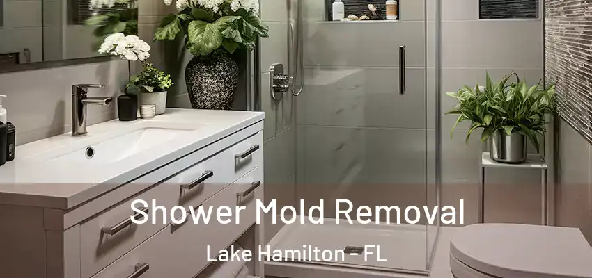  Shower Mold Removal Lake Hamilton - FL