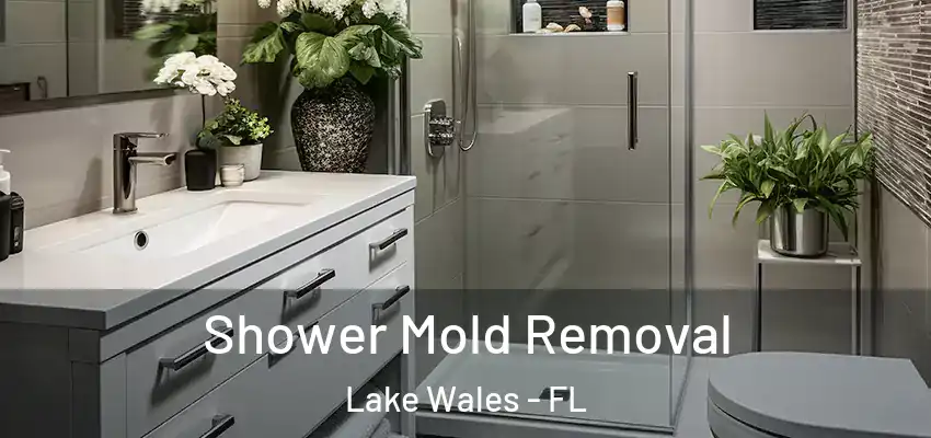 Shower Mold Removal Lake Wales - FL