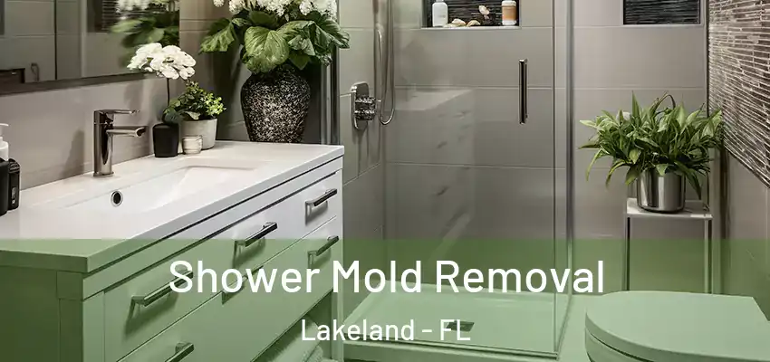  Shower Mold Removal Lakeland - FL