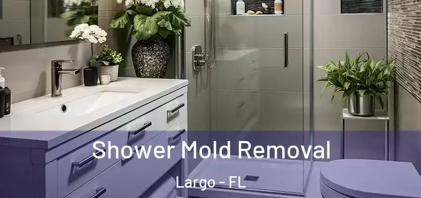  Shower Mold Removal Largo - FL