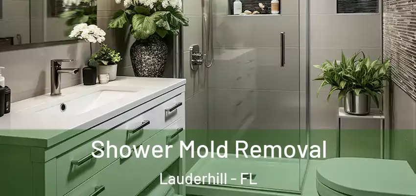  Shower Mold Removal Lauderhill - FL