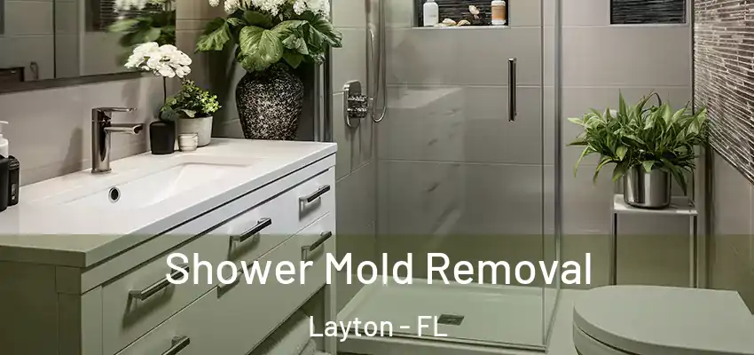 Shower Mold Removal Layton - FL