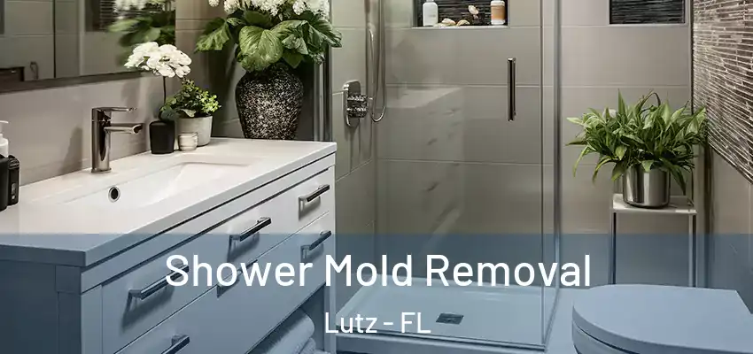 Shower Mold Removal Lutz - FL