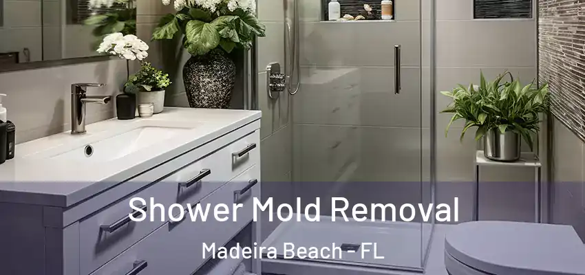  Shower Mold Removal Madeira Beach - FL