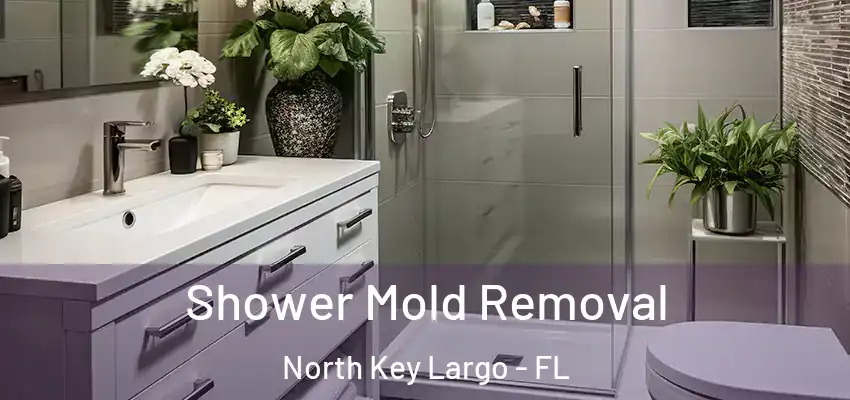  Shower Mold Removal North Key Largo - FL