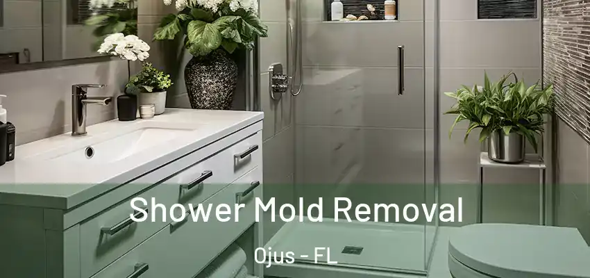 Shower Mold Removal Ojus - FL