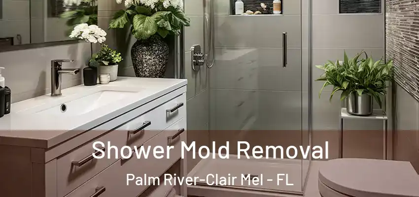  Shower Mold Removal Palm River-Clair Mel - FL