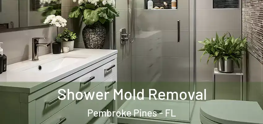Shower Mold Removal Pembroke Pines - FL